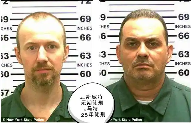 真实犯罪香港攻略