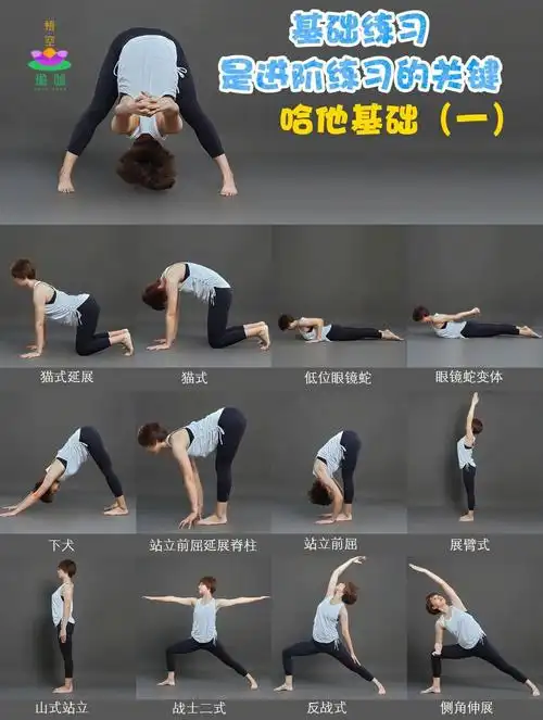 小白必练基础入门哈他瑜伽