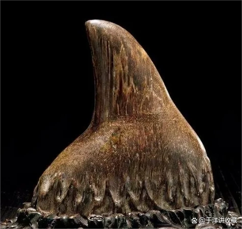 犀牛角鉴定最简单的方法