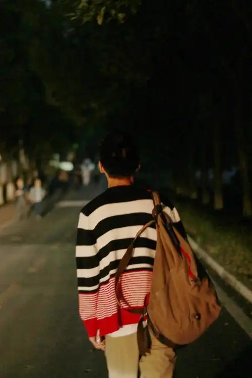 黑夜掩埋不了的孤单.