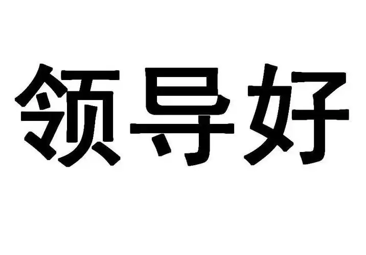 领导好