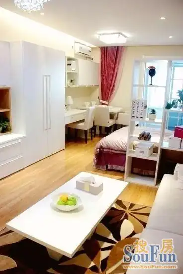 实用40平一室一厅超迷你空间-家居快讯-北京搜房装修家居网