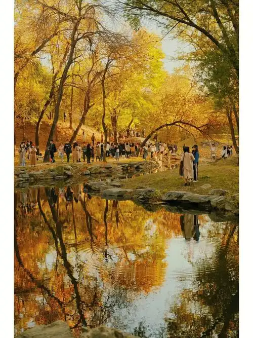 圆明园不要去圆明园拍照会变得不幸