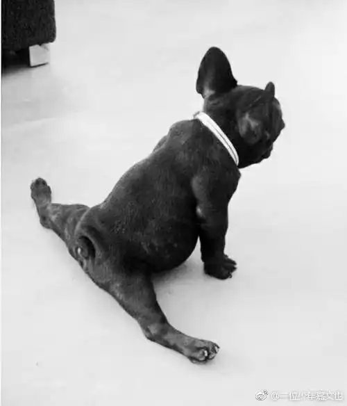 "挑战李小龙一字马"英魂人才辈出!