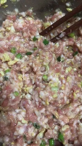 羽月凌儿做的万能饺子陷肉馅白菜香菇肉馅