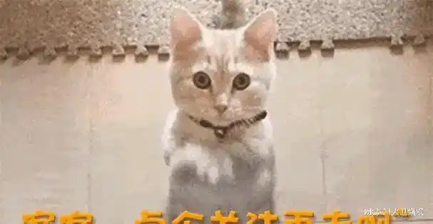 第三就是,此次的爆料是事件爆发前的"预热",就比如之前的吴亦凡事件