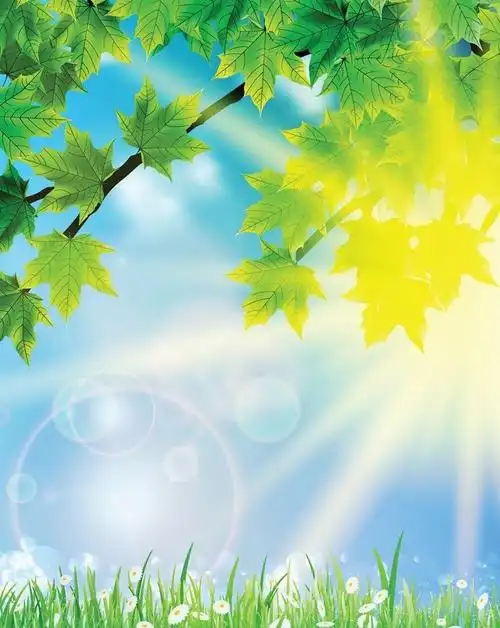 泰国bnh医院官方网站试管婴儿科 服务热线:18652043509