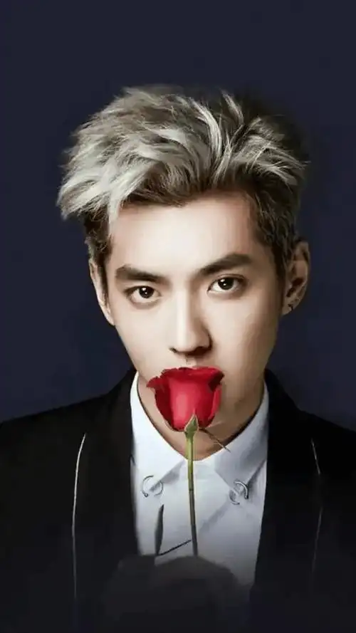 哇塞!吴亦凡公司被曝欠税数百万,税务问题引发热议