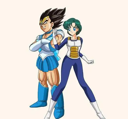 七龙珠的衣服借给美少女战士穿,看起来毫无违和感|贝吉塔|卡卡罗特