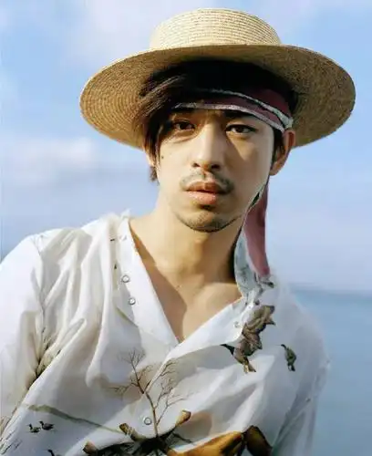 长胡子后的男星:吴秀波迷人,张国荣更帅,胡歌陈坤颜值下降