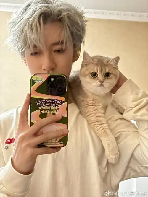 贺峻霖晒对镜扛猫自拍