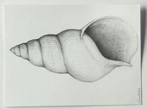 手绘 素描 线稿 400367素描画简单初学者步骤简笔画 简笔画图片大全