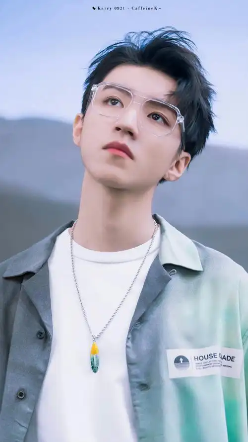 王俊凯推荐刘昊然来盒子里的猫