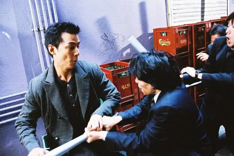 大佬爱美丽enterthephoenix(2004)