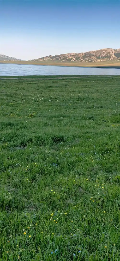 分享一组绿色护眼壁纸#治愈系##无水印壁纸##手机壁纸##分享图片