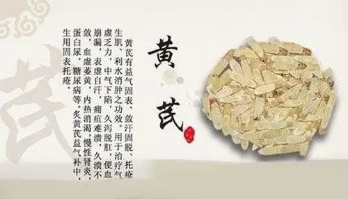 黄芪泡水喝有什么作用