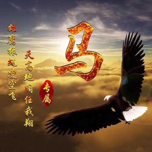 雄鹰翱翔微信头像图片_第1页