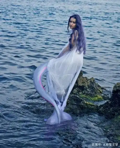 可以上岸的美人鱼