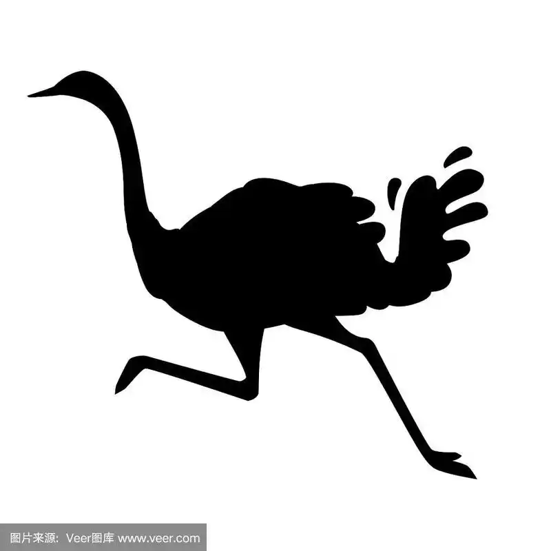 黑色剪影сute鸵鸟奔跑非洲不会飞的鸟卡通动物设计平面矢量插图孤立