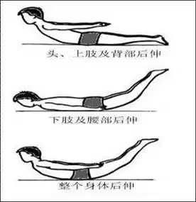 用力挺胸抬头,使头颈胸和双下肢同时抬起离开床,动作形似飞燕