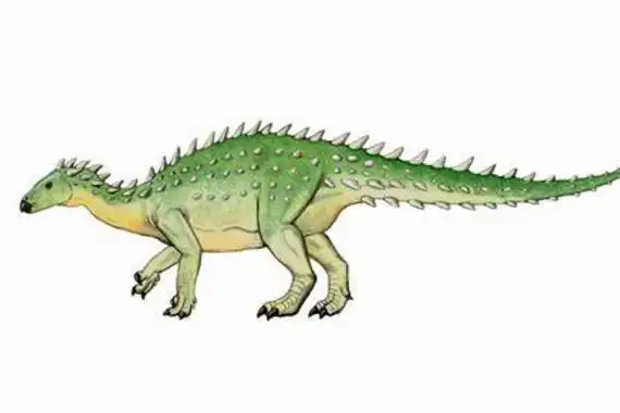 小型甲龙亚目恐龙 莫阿大学龙 背部长有骨刺 体长4米