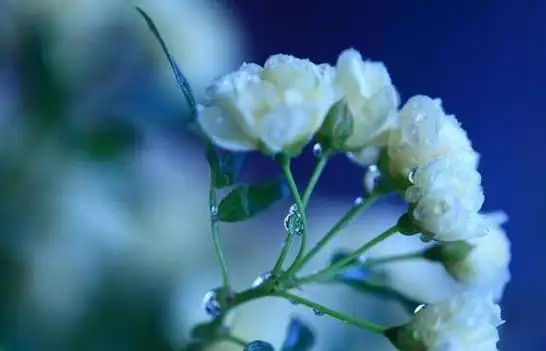 退网,落网?一字之差结局大不同!吴亦凡的事给男人提个醒