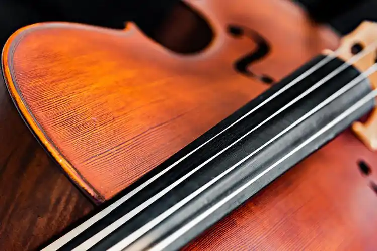 西洋乐器大提琴的琴弦,指板