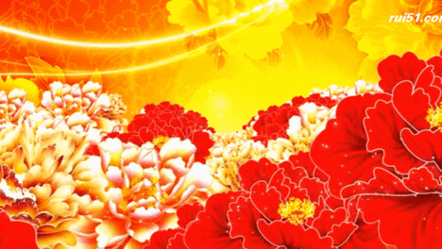 精彩视频截图gif鲜花背景素材