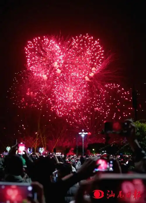 快来看汕尾大型音乐烟花汇演高清大图来了