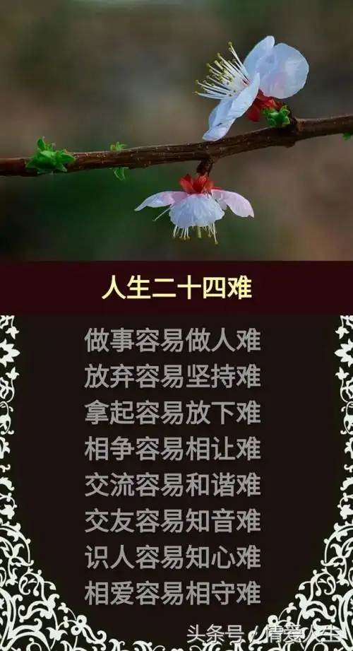 人生,一个字难,生活不易,不要辜负自己.(鸡汤美文)