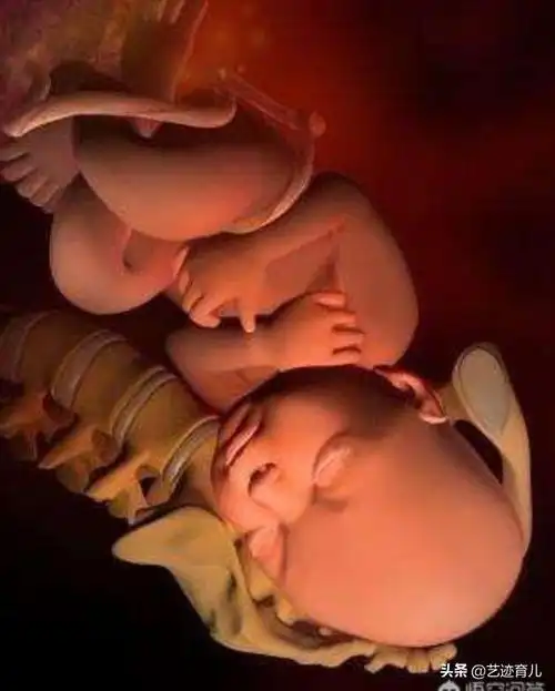 当胎儿入盆后,还会再出来吗?-育儿网