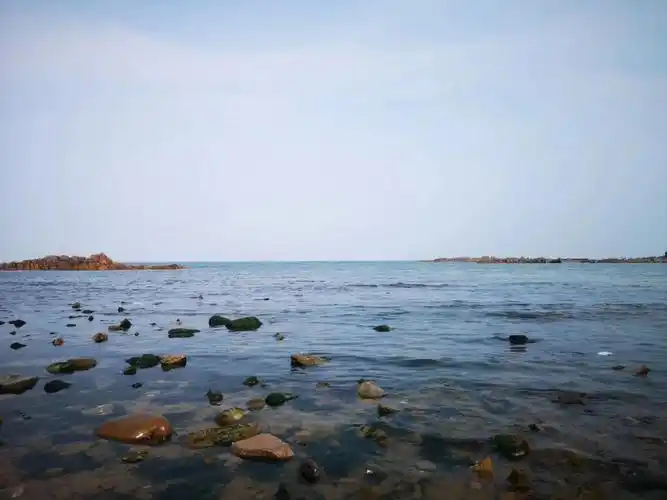 青岛青海傻傻分不清楚