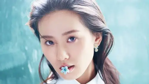 电脑壁纸 明星 大陆明星 文艺女青年刘诗诗气质迷人写真