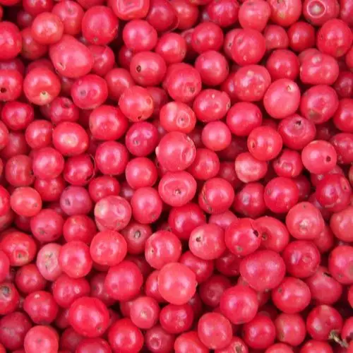 brazilian pink pepper extra quality - vacuum packing - schinus