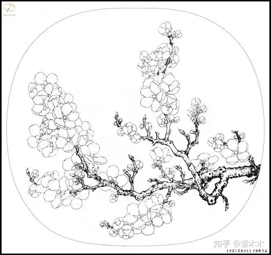 宋小品《《临宋写生杏花图》 尺寸:35×35cm》国画工笔,绘画步骤图