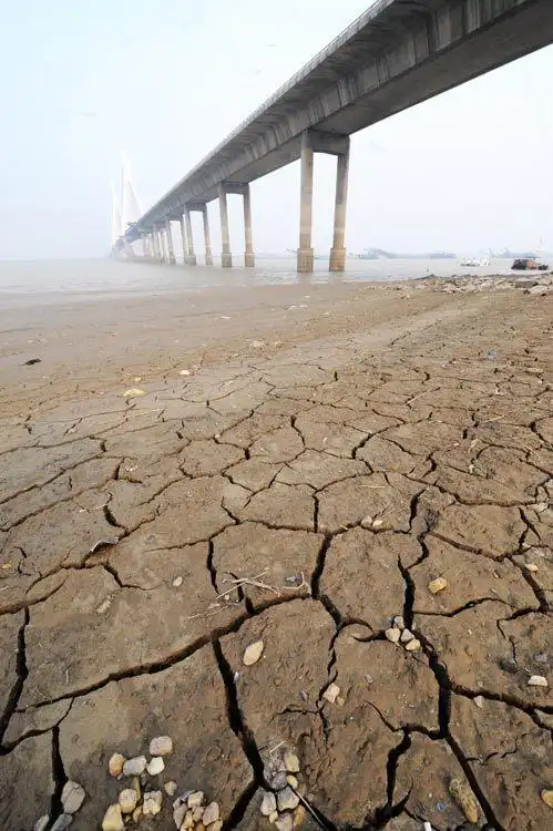 洞庭湖持续枯水 湖床大面积裸露(组图)