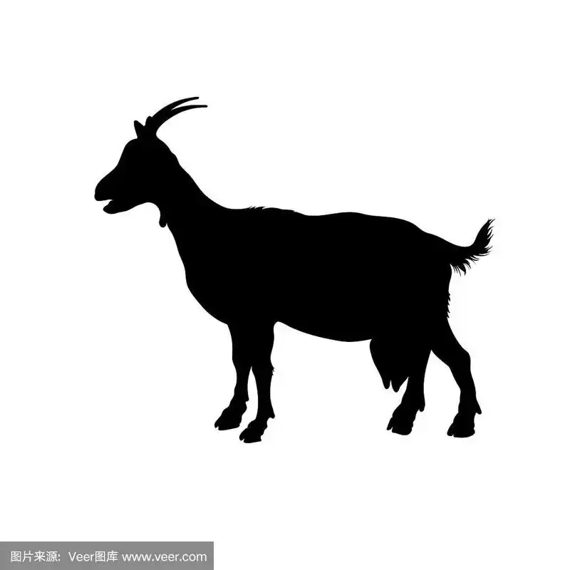 黑色山羊孤立的剪影图像
