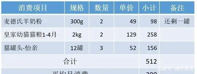 养一只英国短蓝猫需要多少钱