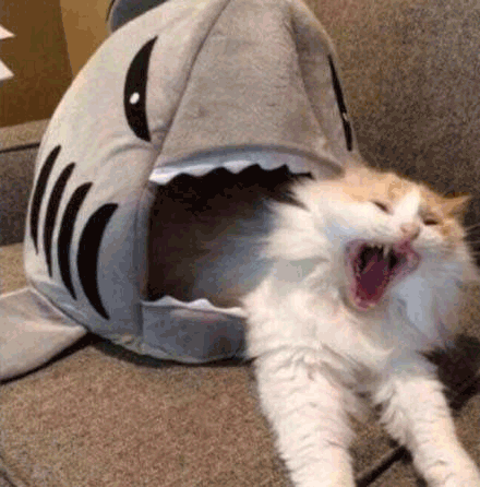 沙雕gif沙雕图gif沙雕表情包gif搞笑gif斗图gif