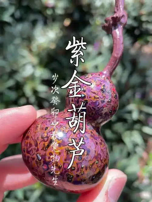 紫金葫芦