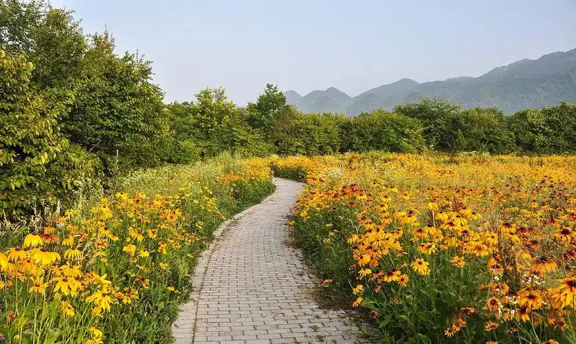 红池坝风景区实拍重庆市巫溪县文峰镇