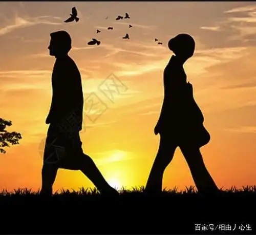 你没有如期归来,而这正是离别的意义