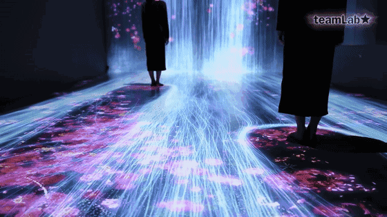 全息投影让绵阳科博会如此精彩,快来看一看