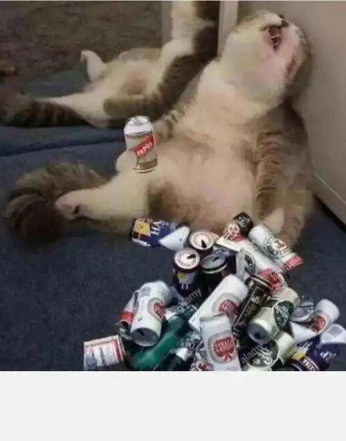 翠花翠花快开门,你说事情巧不巧,这家女主叫翠花,酒鬼老婆同名字,屋内