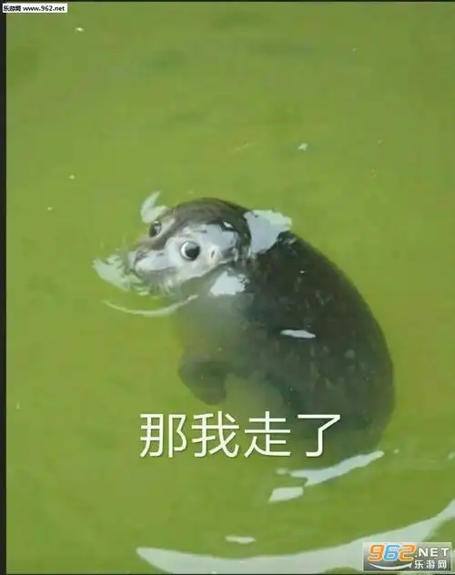 上一张1/7下一张游戏下载你叫我走那我走了表情