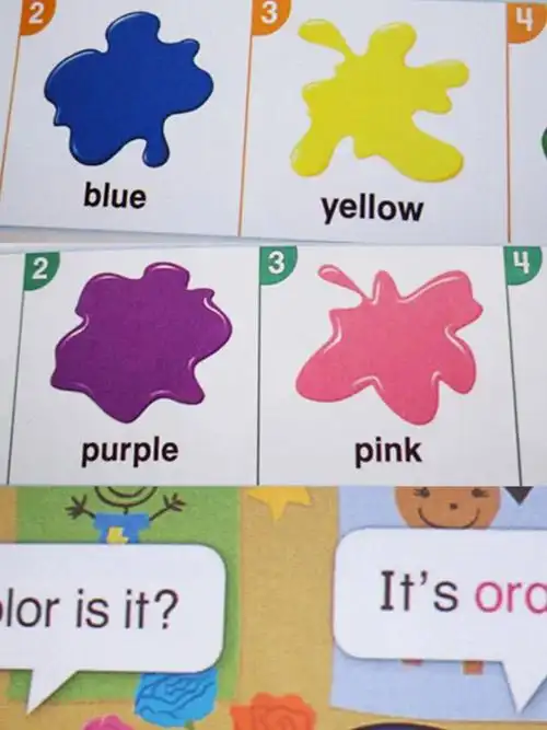 学习关于颜色的单词: orange橙色,purple紫色,pink粉色,brown棕色,red