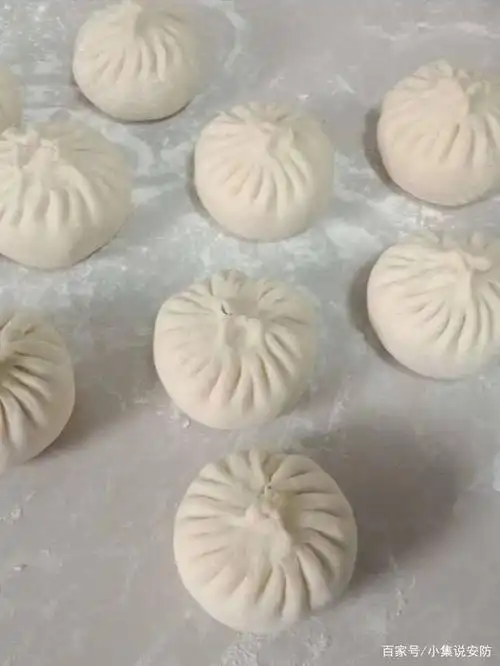 在家做鲜美肉包子