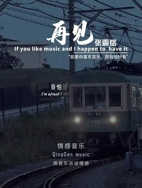 有些人说了再见却再也没见音乐张震岳再见经典老歌