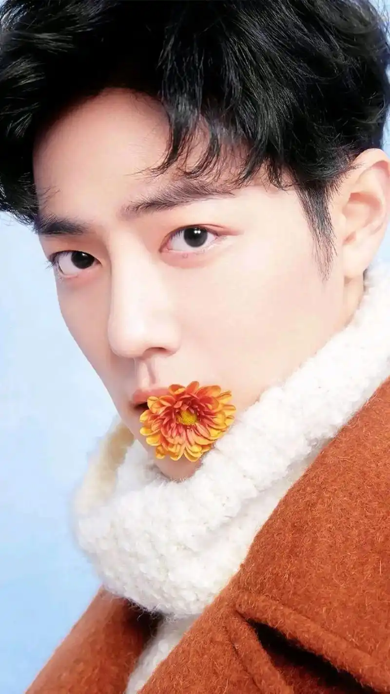 肖战的粉丝来领壁纸了好看的爱豆壁纸来了