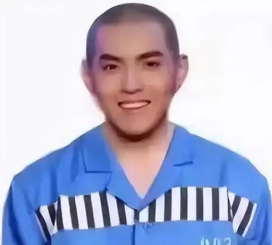 吴亦凡二审获刑13年,有女孩疯了,一路念叨《吴亦凡是我男朋友》